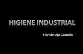 Higiene industrial exposicion