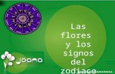 Joana Floristeria flores según signo del zodiaco