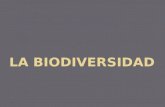 La biodiversidad[1]