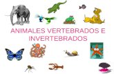 Vertebrados e Invertebrados 090528125904-phpapp02