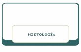 Histología. Los tejidos del cuerpo Humano