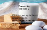 Proyecto II- Paulina Tabares