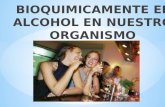 ALCOHOL EN NUESTRO ORGANISMO