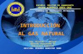 IntroduccióN Al Gas Natural