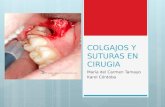 Expo de cirugia suturas y colgajos