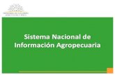 Sistema Nacional de Información Agropecuaria en Uruguay