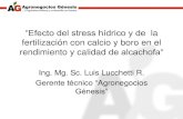 Efecto del Stress hidrico y de la Fertilizacion con Calcio y Boro en Alcachofa