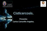 Cisticercosis (1)