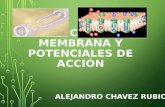 Potencial de membrana biofisica