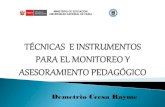 Tecnicas e instrumentos para el monitoreo pedagogico ccesa007