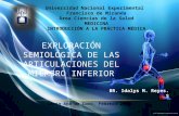 Exploracion Semiologica de la aarticulacion de la rodilla