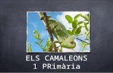 Presentaci³ camaleons