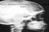 Efectos Biológicos y Riesgos asociados con los Rayos X