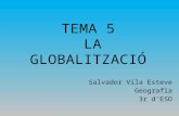 Tema 5.  La globalització.