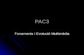 PAC 3  Fonaments i evoluci³ multim¨dia