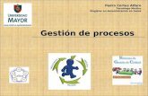 Gestion de procesos umayor-2011