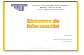 Sistemas de Información. Ensayo. MAYRA MADRID