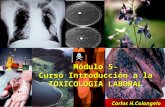 Modulo 5 toxicologia 1