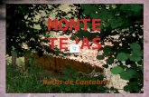 Monte Tejas