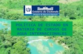 Política de estado en materia de cursos de aguas internacionales