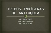 Tribus indígenas de antioquia mejorada