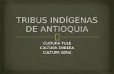 Tribus indígenas de antioquia