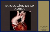 Patologias de la aorta - Dr. Bosio