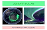 Aurora polar