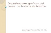 Organizadores graficos del curso  de historia de mexico