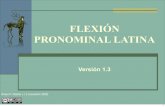 Flexion pronominal latina_1.3