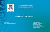 Sistema Nervioso -Neurociencias -UNY