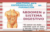 Abdomen y sist digestivo