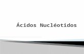 ácidos nucleicos.