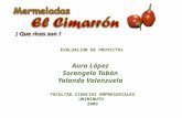 Diapositivas El Cimarron