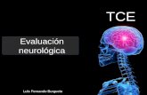 Evaluación neurológica del traumatismo craneoencefálico (TCE)