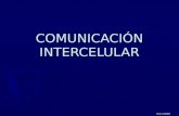 Tema 2. comunicación intercelular