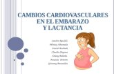 1. Cardiovascular en el embarazo