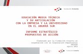 Informe estratégico  - Fundación Kreanta - Emilio Palacios