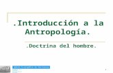 7. antropolog­a