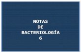 Bacteriología 6