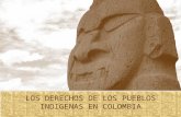 Los derechos de los pueblos indigenas en colombia