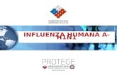 Influenza Humana A-H1N1