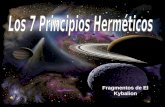 Los 7 Principios Herméticos