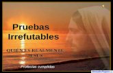 113 Pruebas Irrefutables (Menudospeques.Com)