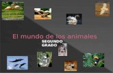 Los animales diapositivas