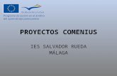 Proyectos Comenius