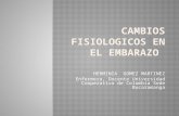 Cambiosfisiologicosenelembarazo 091008214618-phpapp01-100710121243-phpapp02