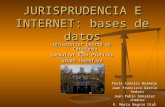 Jurisprudencia e Internet: bases de datos