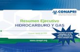 Negocios en Hidrocarburo y Gas - Resumen Ejecutivo 2008