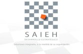 Presentación Saieh, Desarrollo Estratégico